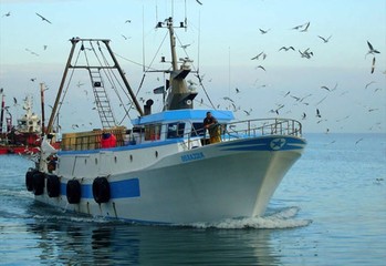 Salute e sicurezza dei pescatori, pubblicato il bando regionale