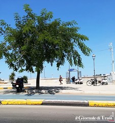 Lungomare di Trani, si affacciano gli scooter dove furono rimossi i «panettoni». Ancora nessuna traccia delle annunciate rastrelliere