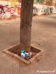 Trani, gli alloggiamenti degli alberi in via Nicola De Roggiero un immondezzaio a cielo aperto