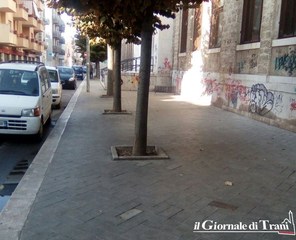 Via De Roggiero, ripuliti gli alloggiamenti degli alberi. Il sindaco di Trani: «Intensificheremo i servizi con l'inizio della scuola»