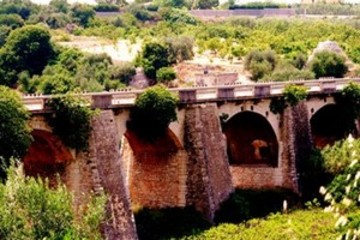 Puglia, pubblicata la graduatoria dei Gal: 8 milioni e mezzo a quello di Trani-Bisceglie