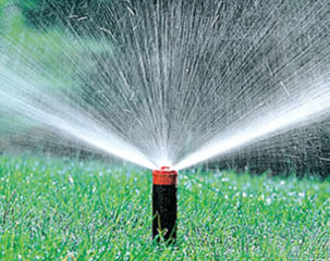 «Inefficienza della rete irrigua e recupero delle acque reflue: la Regione Puglia e AqP si diano da fare»: l’intervento della Uil