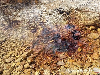 Cava dei veleni bis, Bottaro ringrazia la Procura di Trani: «Si sono mossi celermente». Proprietà, cava passata ad eredi ed in amministrazione giudiziaria