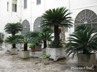 Il carcere femminile di Trani si trasferisce? Il sindacato insorge. Mastrulli (Cosp): «Noi, non consultati, temiamo forti disagi»