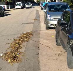 Trani, quando un bel lavoro resta a metà: pulite le caditoie della Pertini, ma il fogliame resta lì