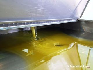 Campagna olearia, il prefetto di Barletta-Andria-Trani riunisce il comitato per la sicurezza dell'oro giallo