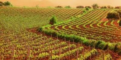 Oggi alla Croce bianca di Trani conferenza sull'agroalimentare