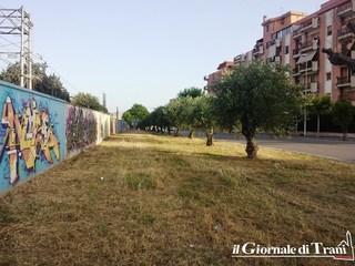 Una pista ciclabile fra gli ulivi di via Falcone: per questo, ed altro, Trani dividerà con Bisceglie 200mila euro