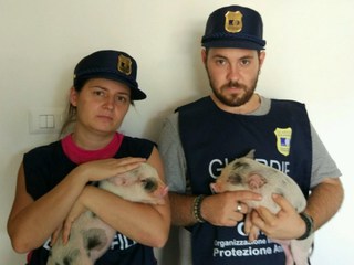 Aperte le iscrizioni al quarto corso per guardie zoofile dell’Oipa della Barletta-Andria-Trani