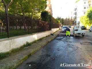 Trani, incendio distrugge (con altre due) l'auto del consigliere comunale Merra: «Se fosse doloso, non m'intimidiscono per nulla»