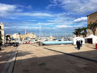 Natale, in piazza Quercia si accendono le luci e ci si prepara a pattinare. E l'albero di Pizzolante già dà il benvenuto nel «salotto di Trani»