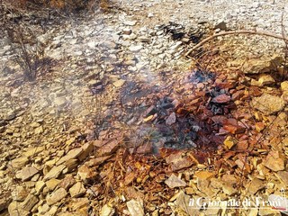 Cava dei veleni bis, stamani prime manifestazioni in piazza di Comitato bene comune e Trani a capo