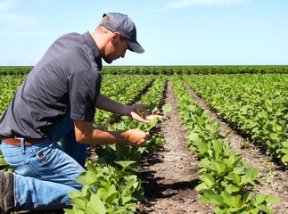 Agevolazioni in favore degli agricoltori, di Gregorio: «Il Comune di Trani si adopererà per favorirli»