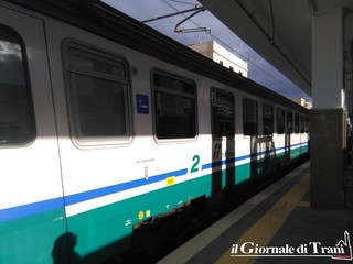 Investimento di cinghiale sui binari, disagi anche per i viaggiatori di Trani