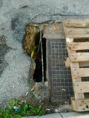 Strade di Trani, Movimento 5 stelle: «Serve un piano urgente di rifacimento su tutto il territorio»