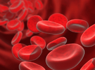 Carenza di sangue in Puglia, Emiliano invita a donare. Possibilità di farlo anche a Trani