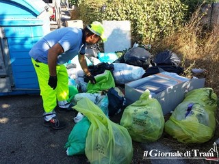 Rimozione rifiuti ingombranti e carcasse di animali, Amiu Trani bandisce due gare per un totale di 41.000 euro