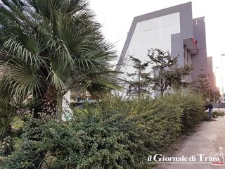 Arriva il Capo della Polizia a Trani e piazza Albanese si fa bella: giovedì, manifestazione per piantarvi un ulivo della pace
