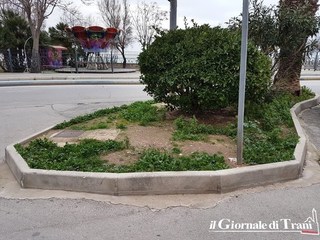 Trani, dopo quarant'anni nuovi cordoli sul lungomare Chiarelli. E, nelle aiuole, tante «case» per gatti