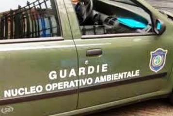 Vigilanza ambientale, la giunta regionale ne approva il regolamento