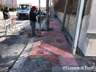 Il lungomare di Trani già si prepara all'estate: marciapiedi ed alberi più sicuri