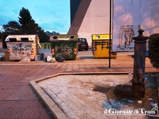 Trani, in piazza Albanese dopo un mese è già degrado: rifiuti con l'ulivo e bottiglie a due metri dal cassonetto. Di Lernia: «Anche agenti in borghese per fermare gli incivili»