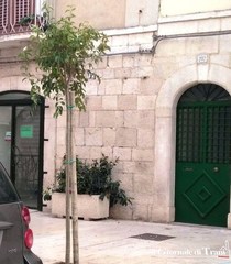 Nuovi alberi a Trani, ne sono stati acquistati 90: alla Service gold global 9mila euro