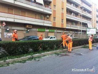 «Affidi piano per non far rumore». Trani, due mesi di verde pubblico ad Albachiara. Aspettando l'esito della maxi gara