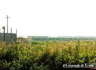 Trani, sulla Bisceglie-Andria ci sarebbe una terza cava fumante: nube e odori di ieri sera provenivano da lì