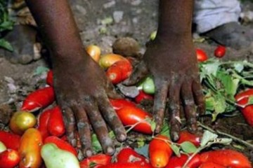 Sfruttamento della manodopera migrante nell’arcidiocesi di Trani, siglato un protocollo con le sigle sindacali