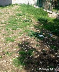 Nella Trani delle incompiute, anche i cani ne hanno una: l'area di sgambamento di Villa Bini