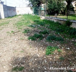 Area di sgambamento di villa Bini, di Gregorio precisa: «È già attiva, va potenziata ma i padroni devono essere civili»