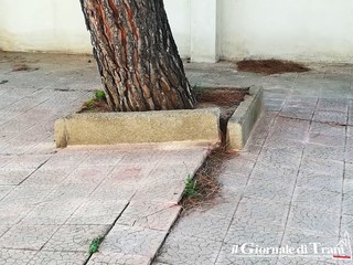 Trani, inciviltà e degrado in largo Goldoni. A denunciarlo, ancora una volta, alcuni residenti