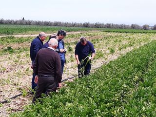 Maltempo di febbraio, iniziati gli accertamenti anche nelle campagne di Trani