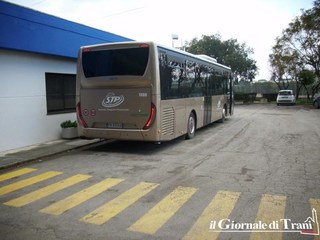 L'ultimo bus di Stp Trani-Bari si veste d'oro. In arrivo i nuovi trenta finanziati dalla Regione