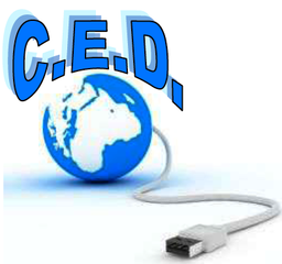 Centro elaborazione dati del Comune di Trani, il nuovo responsabile è Valerio Catino