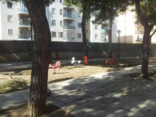 Trani, proseguono le manutenzioni in città. Oggi bonificata anche la pinetina di via Andria