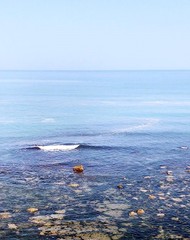 Condotta sottomarina di Trani, Santorsola: «Importante per il turismo della città»