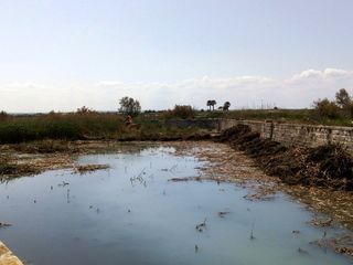 Trani, ecco la vasca di Boccadoro bonificata. Bottaro: «Abbiamo fatto felici soprattutto i contadini»