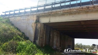 Viadotti della 16bis in territorio di Trani, il parere di un tecnico: «In assenza di manutenzione, possibili rilevanti problemi strutturali»