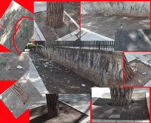 Pinetina di via Andria, insorge il comitato di quartiere: «Troppa sporcizia, Comune di Trani e Amiu ci aiutino»