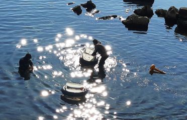 Settanta buste ed un copertone gigante: all'ombra della villa di Trani sub e volontari ancora in azione