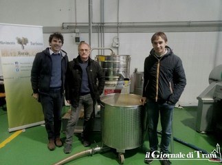 Nasce “l’olio di Trani”: presentazione oggi