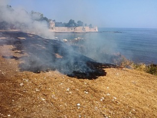Stoppie, entro il 15 giugno tutto da bonificare per evitare incendi: l'ordinanza del sindaco di Trani riguarda terreni pubblici e privati