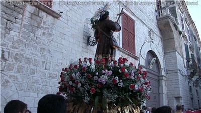 VIDEO. Trani religiosa, la processione cittadina per san Nicola Pellegrino