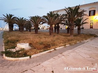 La nuova cartolina di Trani: grano arso ai piedi della cattedrale. Bonificato, invece, il parco di via Polonia