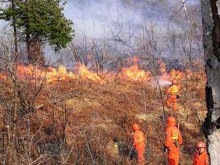 Prevenzione incendi, si mobilità anche la Prefettura di Barletta-Andria-Trani