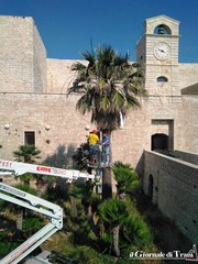 Mostra su Federico II e il fossato del castello «si fa bello» con la potatura delle palme