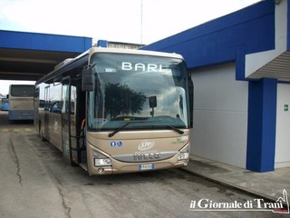 Dimenticano quattro passaporti e duemila euro sul bus Stp: autista di Trani fa felici quattro albanesi restituendo loro ogni cosa