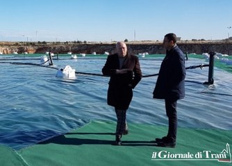 Conferma di Guadagnuolo in Amiu, il Movimento 5 stelle di Trani: «Violazione della Carta di avviso pubblico»